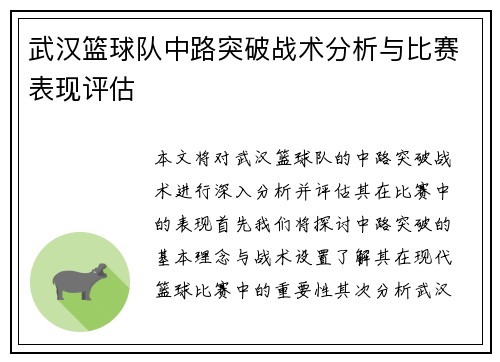 武汉篮球队中路突破战术分析与比赛表现评估