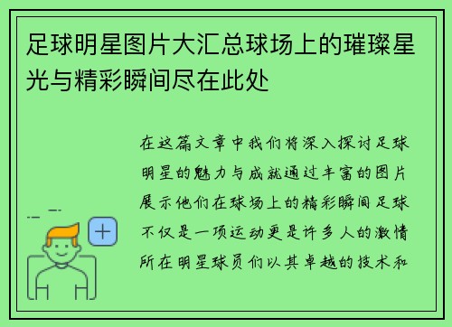 足球明星图片大汇总球场上的璀璨星光与精彩瞬间尽在此处